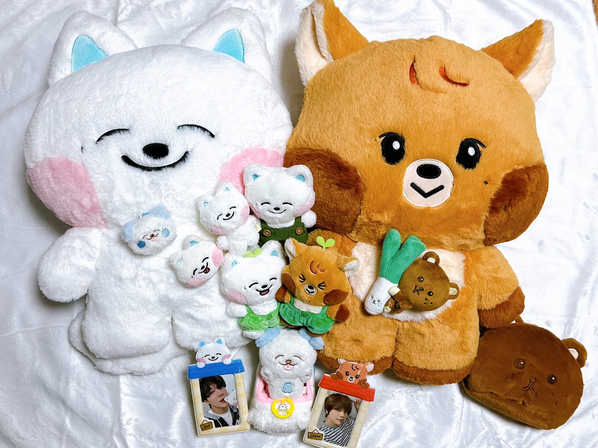 슬픔이슈를 귀여움이슈로 이겨내고있음.. 
쪠드와 쪼푸의 만남 너무 귀엽다 🤍🤎