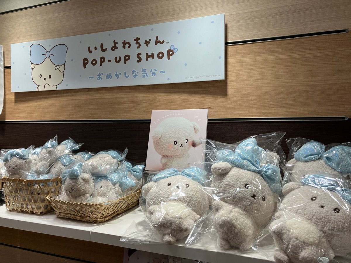 いよいよ明日開店から
 #いしよわちゃん POP-UP SHOP〜おめかしな気分〜 限定品を再販いたします🐾
（カチューシャと特典のショッパーはございません）

また、前回大変ご好評だったため
今回限定品の在庫を
2日間に分けて販売いたします。
21日10:00〜 ／ 22日10:00〜

ご来店お待ちしております✨