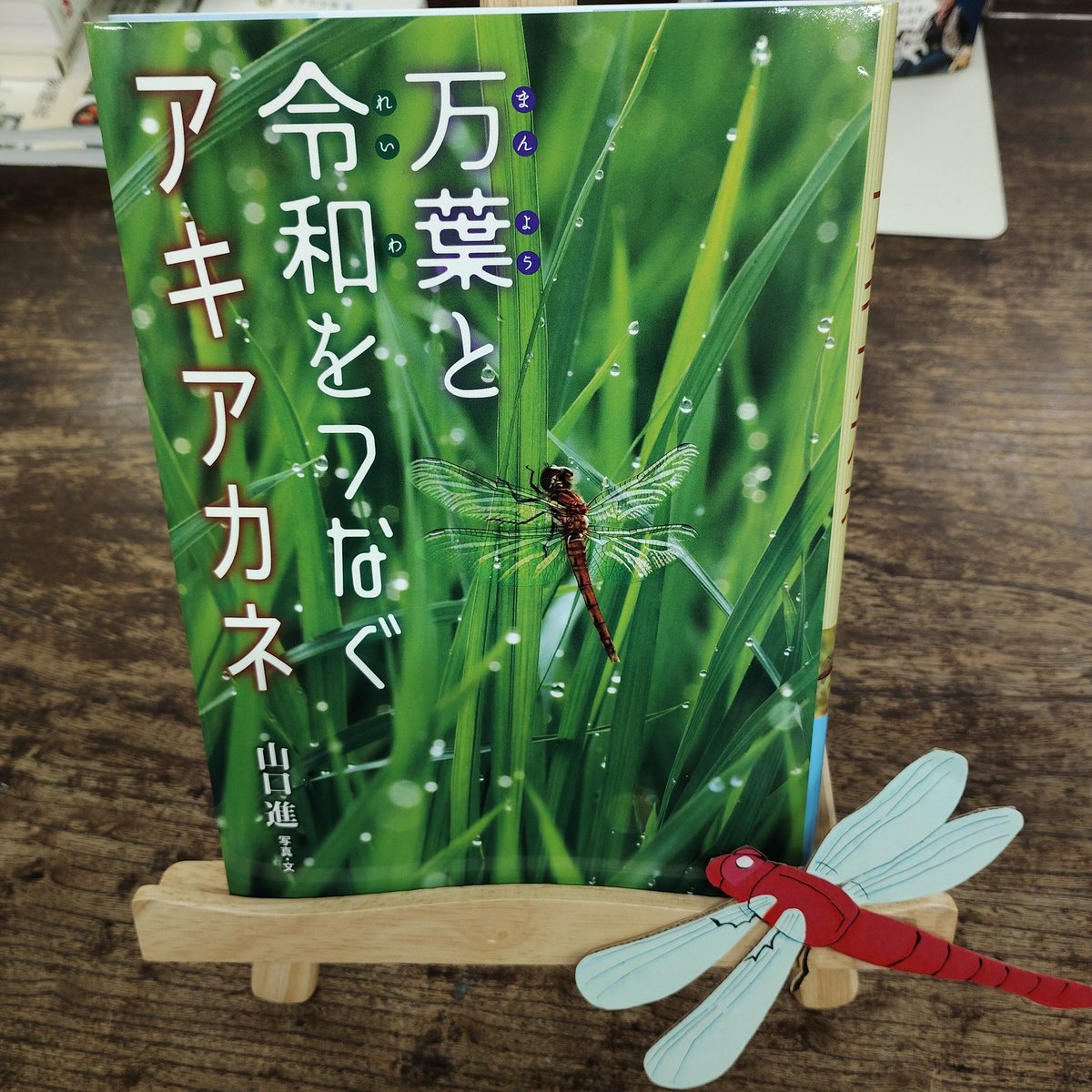 １週間、おつかれさまです🌝
明日はお休みです
本日は19:00まで営業しております

アキアカネさん、そろそろ山からおりてくるかな？
山口進
『万葉と令和をつなぐアキアカネ』
岩崎書店
