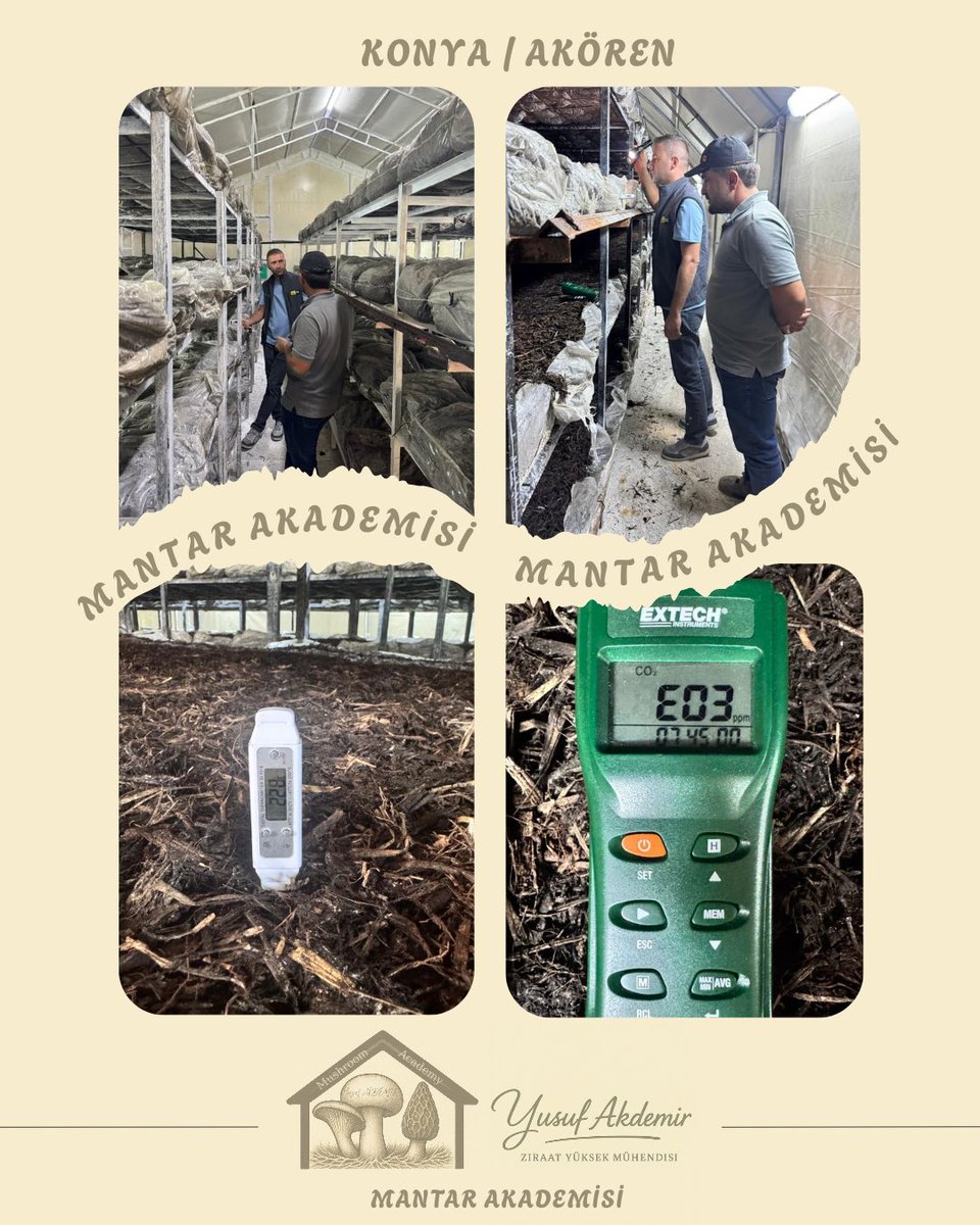 🍄Çalışmalarımız Devam Ediyor.🍄

📍#akören

Kültür Mantarı

MAŞALLAH 👏👏👏

Tüm Üreticilerimize Hayırlı Helal Bol Kazançlar Dilerim.

#mantar #mushroom #tarımşehri #tarım #konya