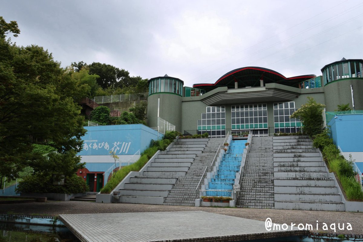 moromiaqua's tweet photo. 今日は大阪府の #ニフレル と #あくあぴあ芥川 、奈良県の #奈良金魚ミュージアム へ行きました。
ニフレルは想像以上に素敵な水族館で特に動物コーナーが最高。
あくあぴあは無料で大水槽や標本等結構見れて嬉しい。
金魚ミュージアムはとにかく映える綺麗な水槽がたくさんあり魅力的でした。 https://t.co/q1TDyXfkKz