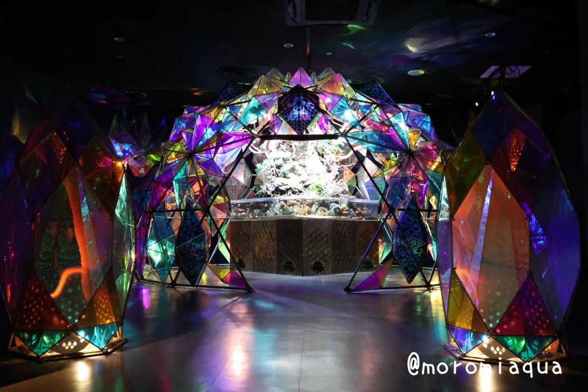 moromiaqua's tweet photo. 今日は大阪府の #ニフレル と #あくあぴあ芥川 、奈良県の #奈良金魚ミュージアム へ行きました。
ニフレルは想像以上に素敵な水族館で特に動物コーナーが最高。
あくあぴあは無料で大水槽や標本等結構見れて嬉しい。
金魚ミュージアムはとにかく映える綺麗な水槽がたくさんあり魅力的でした。 https://t.co/q1TDyXfkKz