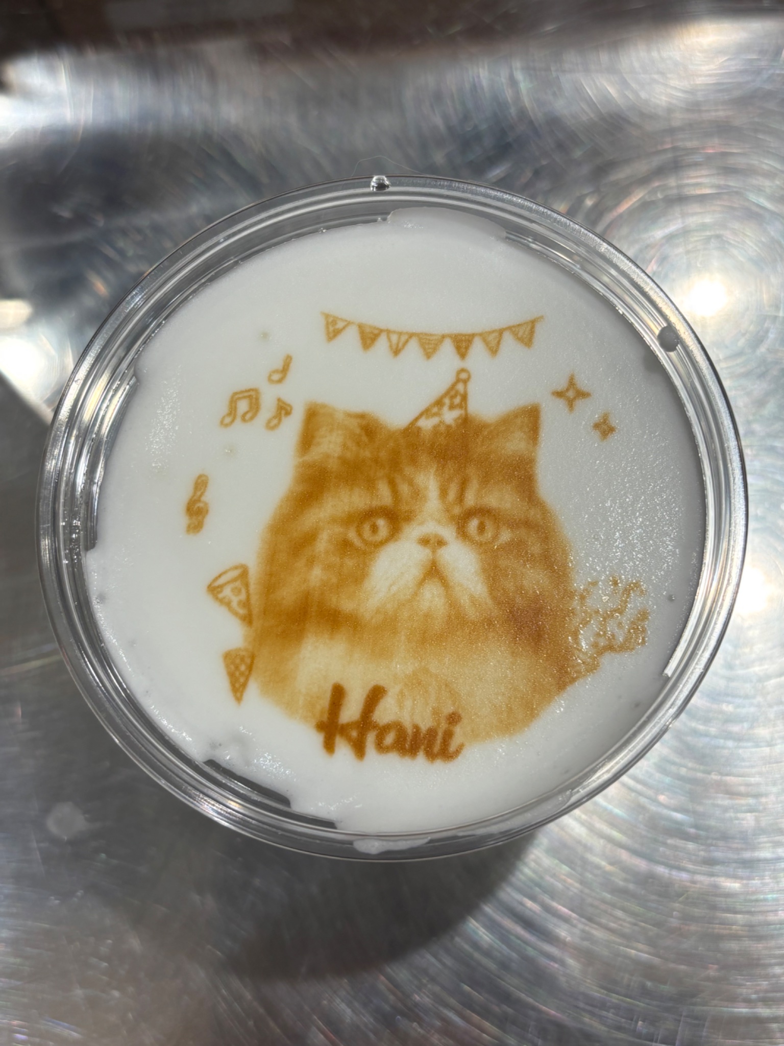 カフェねこ❷ 譲渡型保護猫カフェ 猫の森 | ⭐︎ 保護猫カフェ 🐈‍⬛猫の森