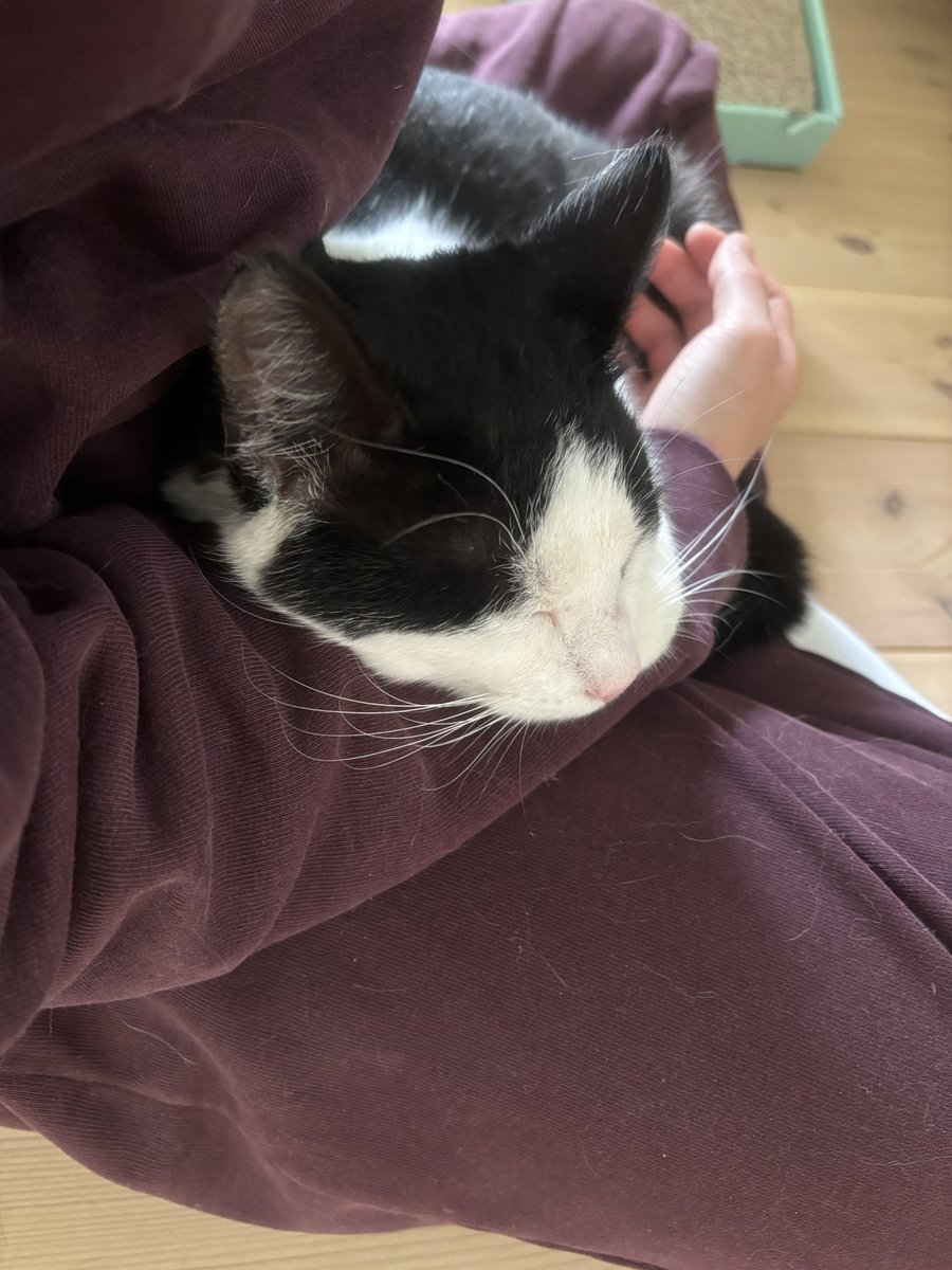 코딩하는할매 tweet media