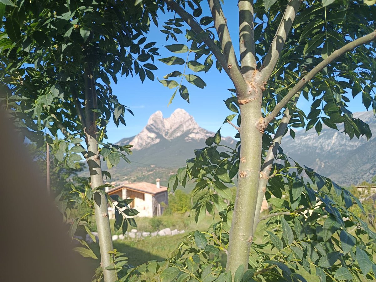 Gran foto de l’amic Pep del Cruse de Cal Xisquet