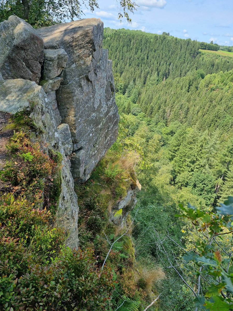 KeyFlex's tweet image. Bijna 60 maar nog lang niet uitgeklauterd 😉 
Rotsformatie &apos;Neus van Napoleon&apos; in de Warche-vallei