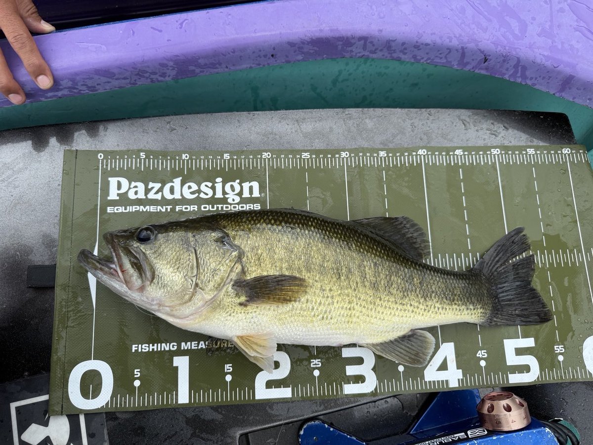 JACKALL BASS FISHING on X