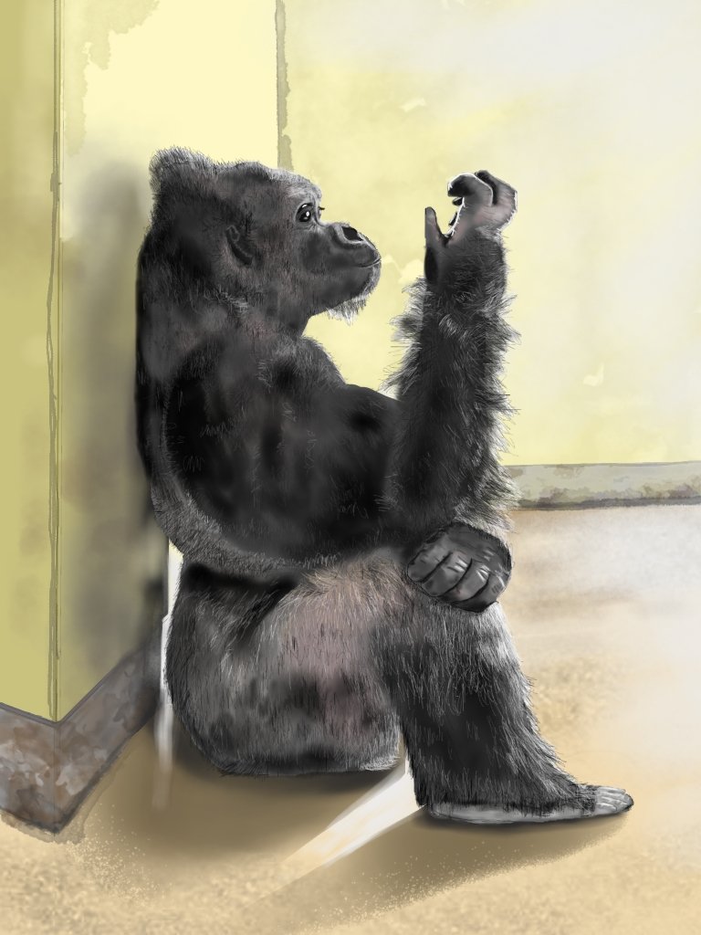 叔母が撮ったシャバーニが素敵だったので描いてみました。哀愁漂う感じが素敵。でもちょっと可愛らしい顔になってしまった💦