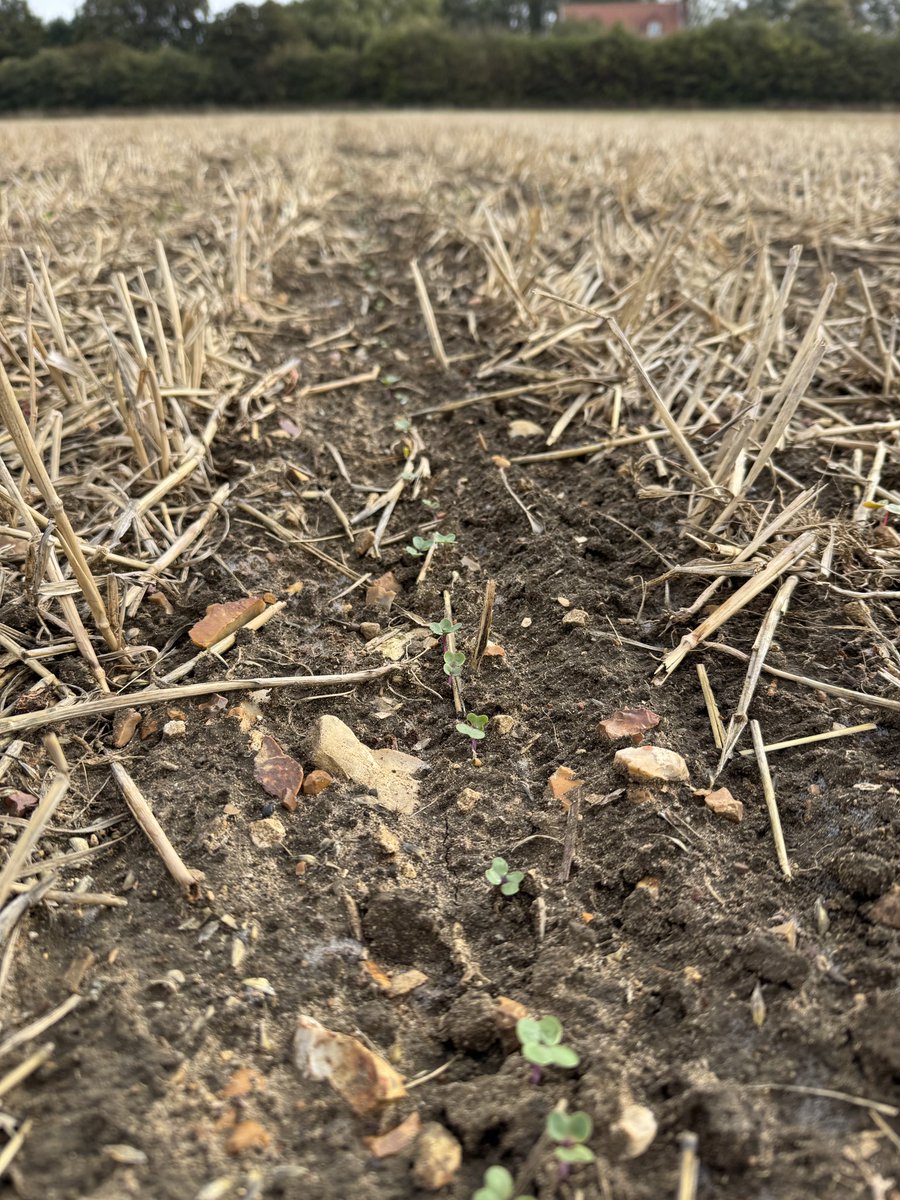 Ben Abell tweet media