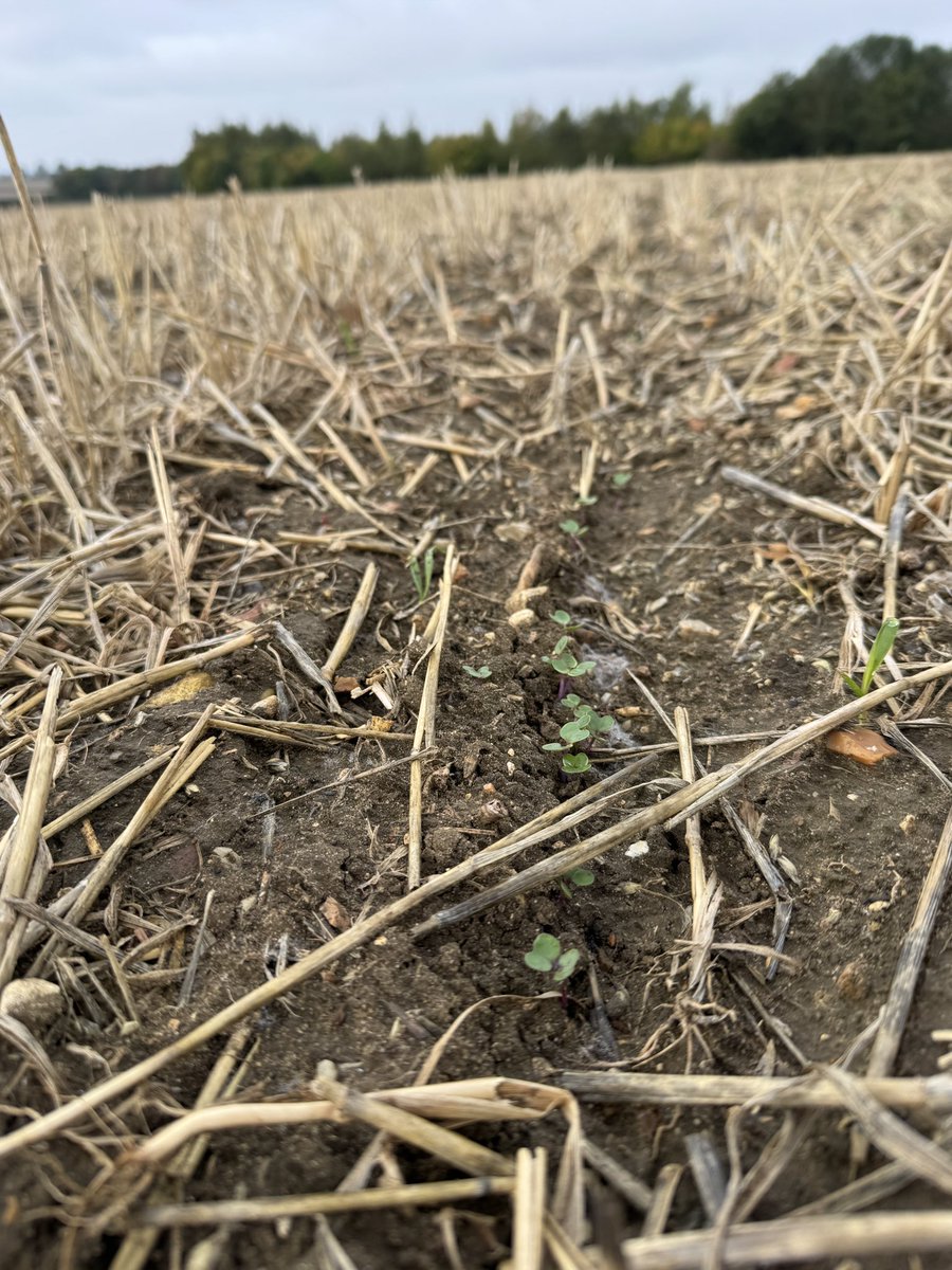 Ben Abell tweet media