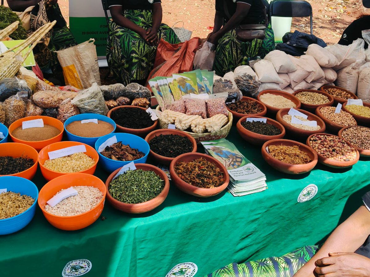 Zimbabwe Land and Agrarian Network tweet media