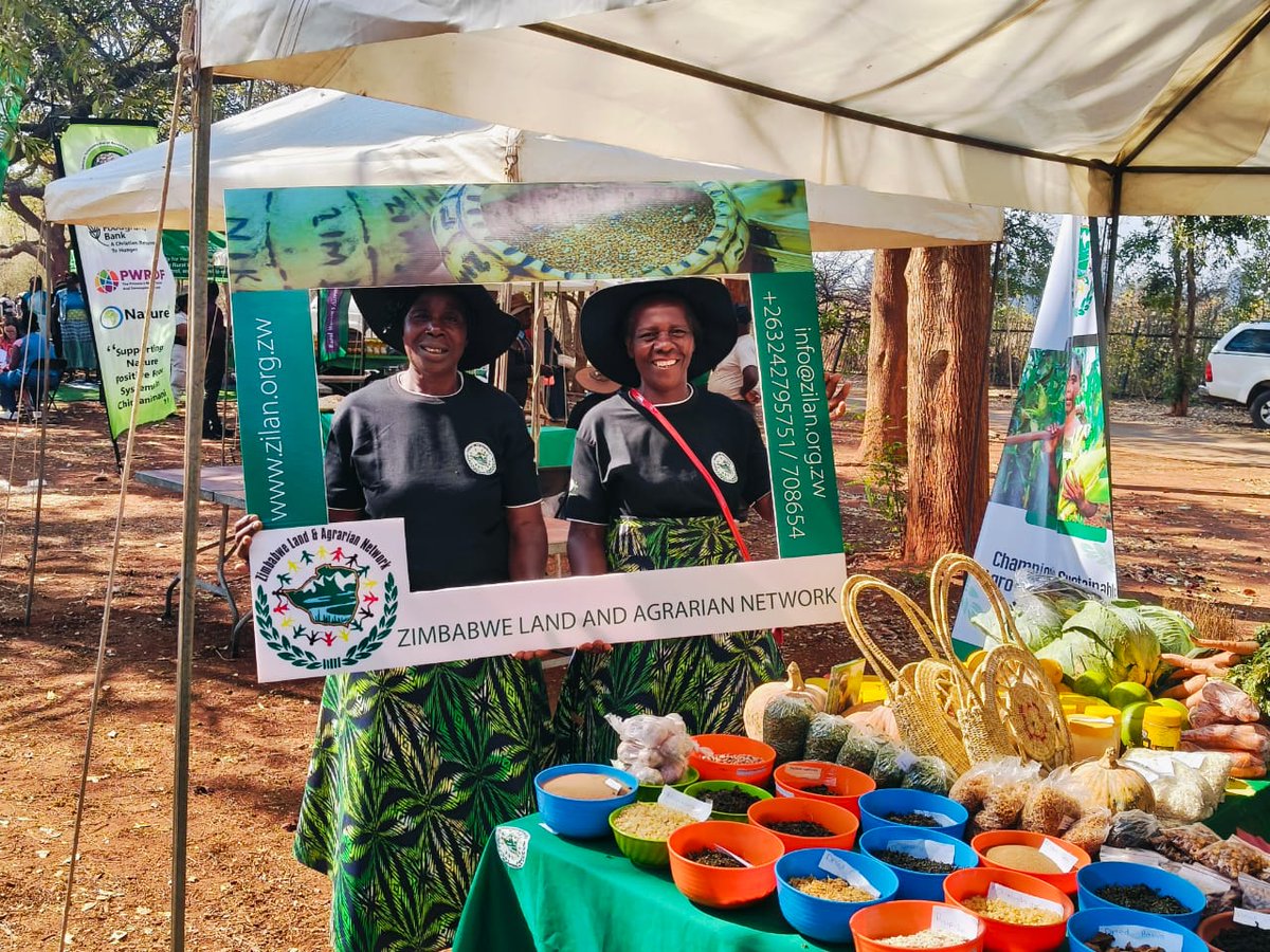 Zimbabwe Land and Agrarian Network tweet media