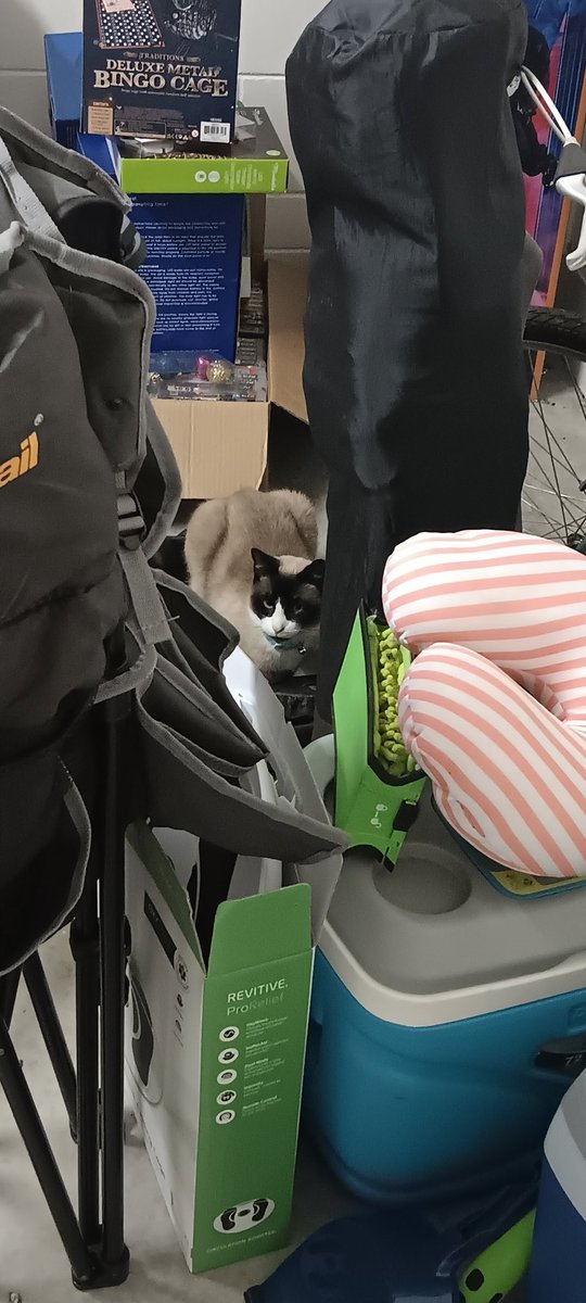 Nicole Lindsell (@nicolelindsell1) on Twitter photo 