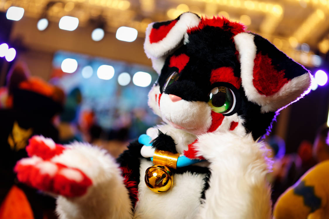#FursuitFriday
小狗狗有什么坏心思呢
