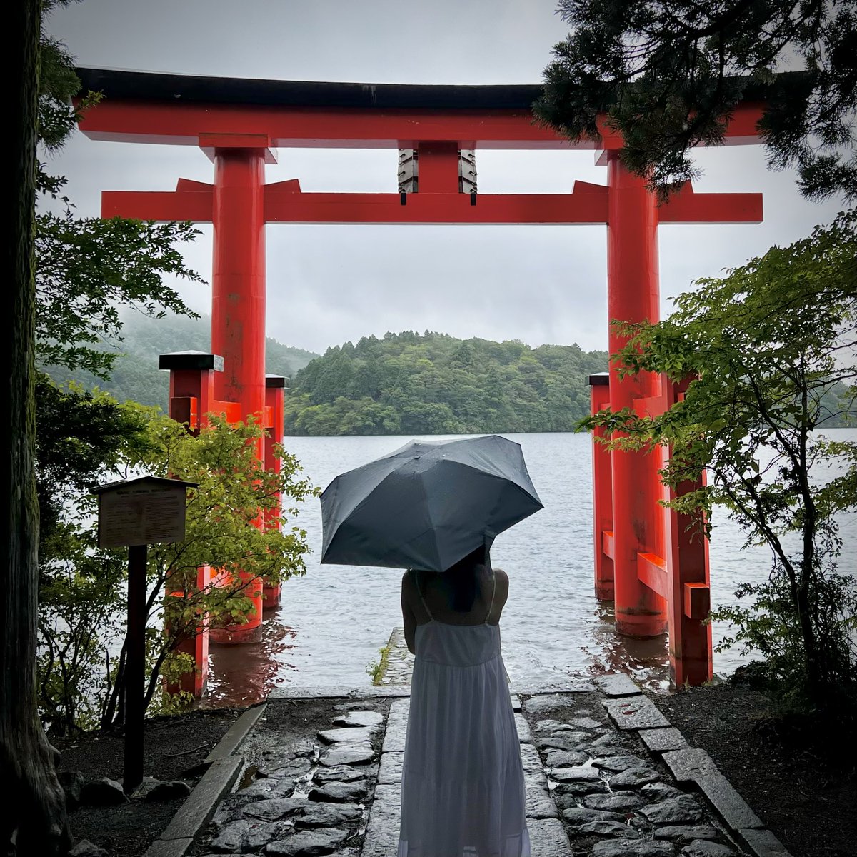 kaisan_121's tweet photo. Japan Sept2025 https://t.co/TmvBFjLAOK