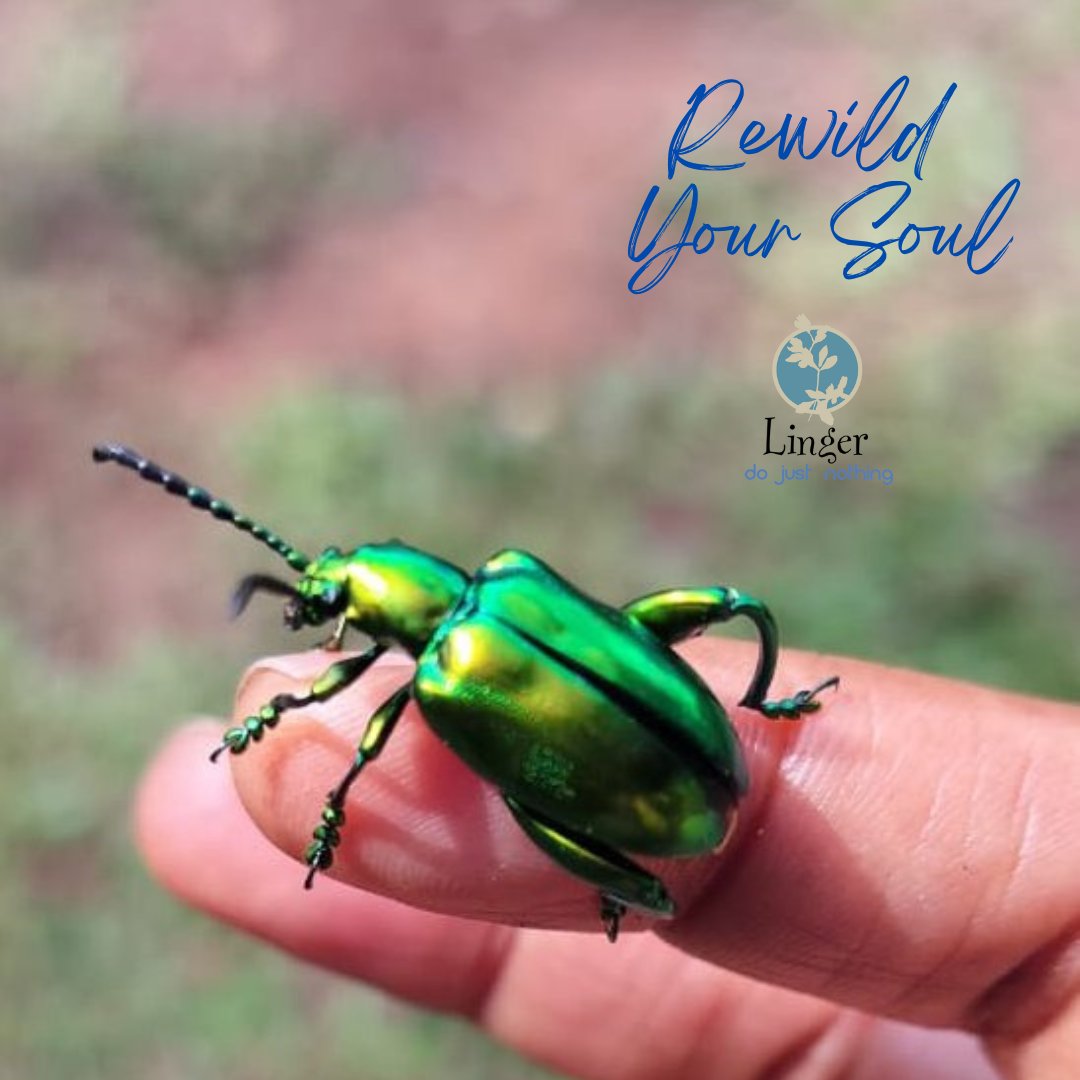 do nothing vacations tweet media