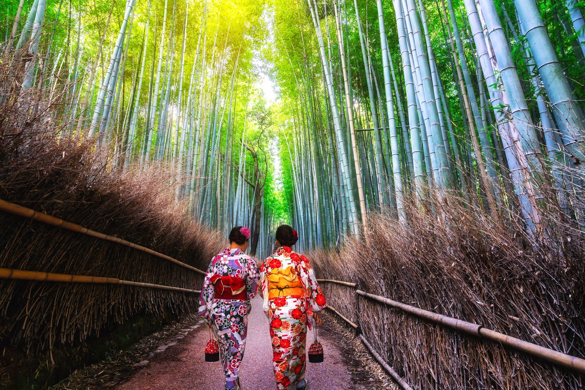 In an almost comically cruel twist, the very dream of Kyoto that draws so many tourists to Japan’s ancient capital is exactly why no one can ever experience what they’re actually seeking. Simply put, the crowds reduce the chance of an authentic experience to essentially zero.

If