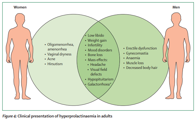 TheLancetEndo's tweet image. Prolactin-secreting adenomas: pathogenesis, diagnosis, and management thelancet.com/journals/landi… 
#prolactinomas 
#hyperprolactinaemia 
#pituitary