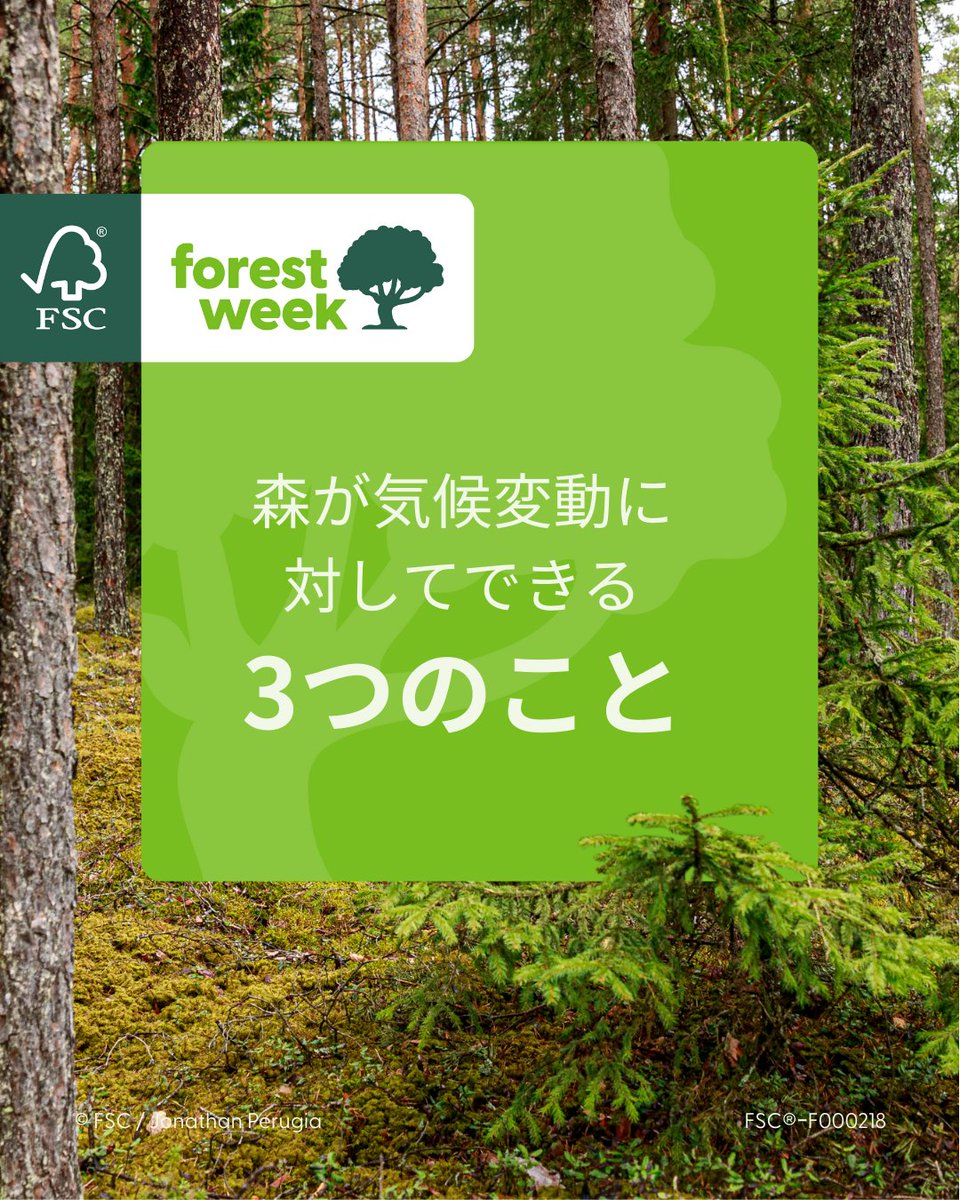 FSC_Japan's tweet image. 森林は毎年、排出される炭素の2倍を吸収し、炭素吸収源として機能しています（@WorldResources）。
 また、森林には極端な気象の影響を和らげてくれる機能もあります。
 jp.fsc.org/jp-ja/FSC_Fore…
 #FSCForestWeek