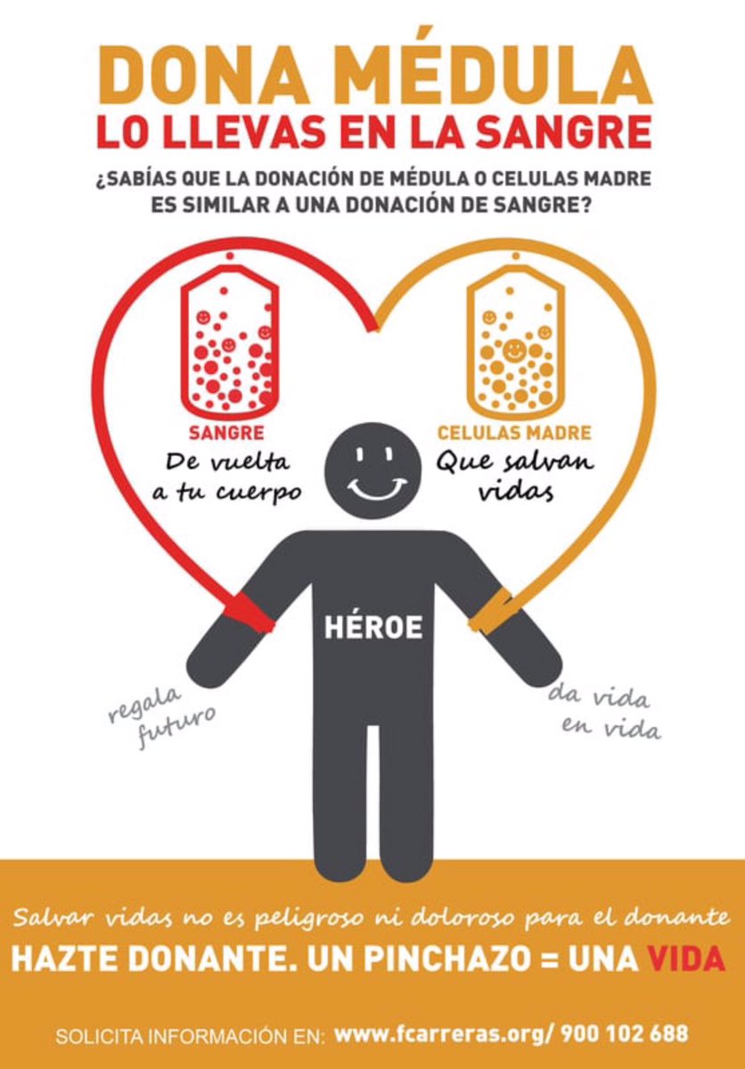 NoInvisibles's tweet image. Hoy, como cada 3º sábado de sep. #DíaMundialDonanteMédula
#WorldMarrowDonorDay #DMDMO2025 #WMDD2025 #GraciasDonante #ThankYouDonor
Donar médula no es doloroso, necesitarla es aterrador‼️
Qué es #REDMO?
Registro de Donantes de Médula Ósea creado por @fcarreras  en 1991 y Acuerdo…