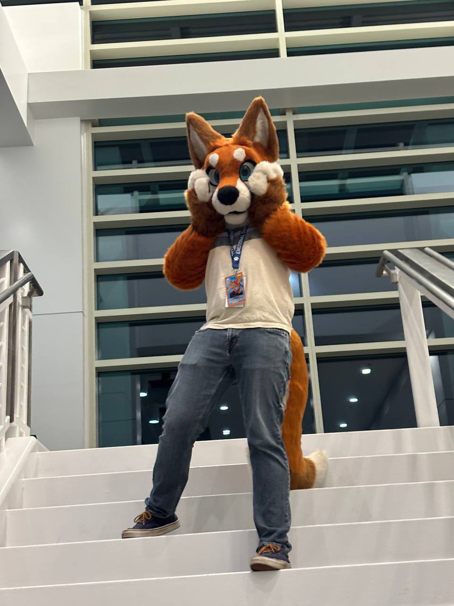 alecthefoxxo's tweet photo. First time wearing my fursuit! AFC has been a blast so far. Come and find me throughout the weekend, I’d love to get some hugs! ^w^ 

🪡@StarForgedSuits
📸@Ethers_Art

 #FursuitFriday #AFC2025 https://t.co/RBQllrKhRL