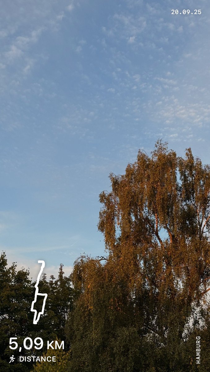 Die siebte Woche in Folge fünf Läufe in der Woche-Lauf 🏃‍♂️ 
#sport #run #lauf #heldenchaos
