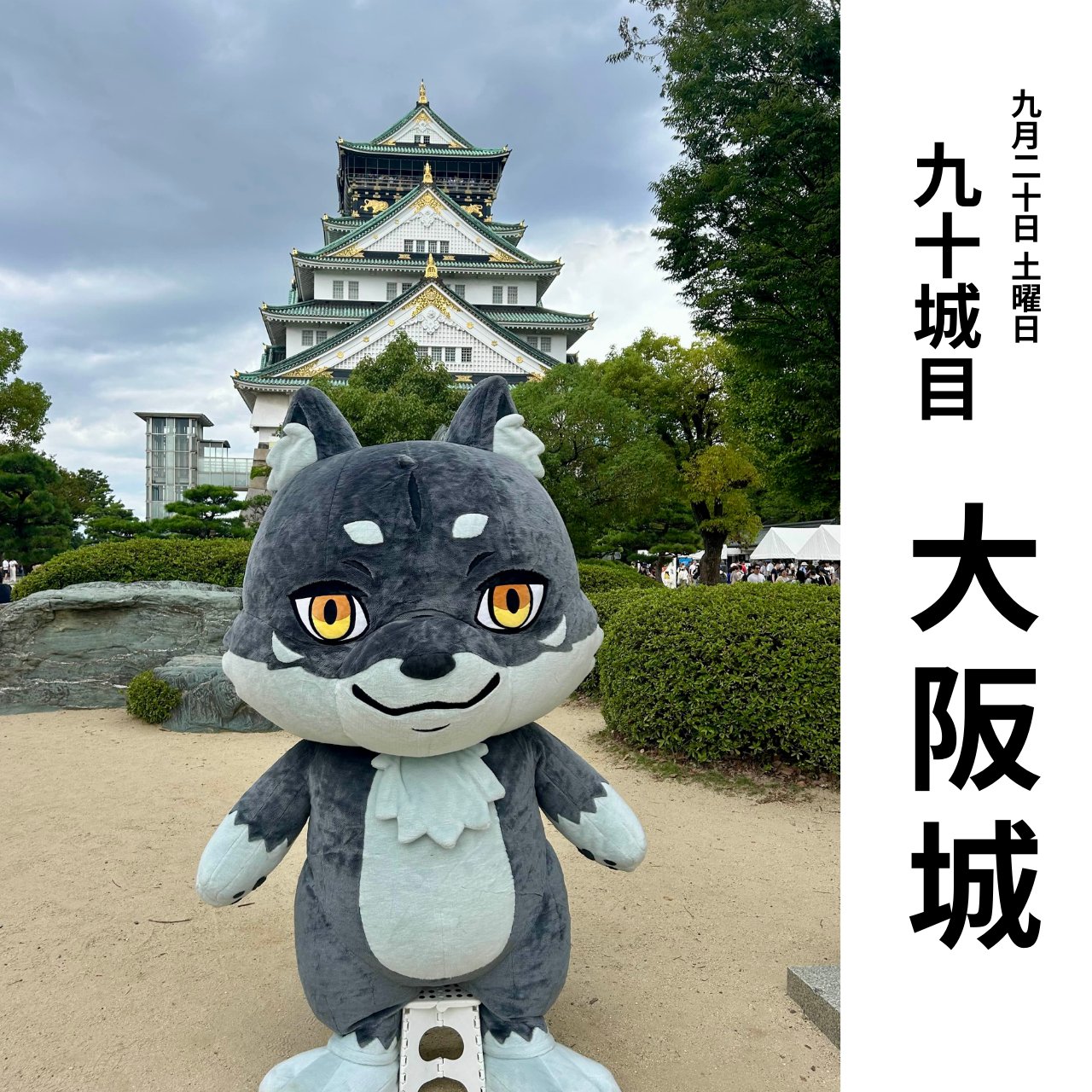 公式】CNP（シーエヌピー） | CryptoNinja Partners