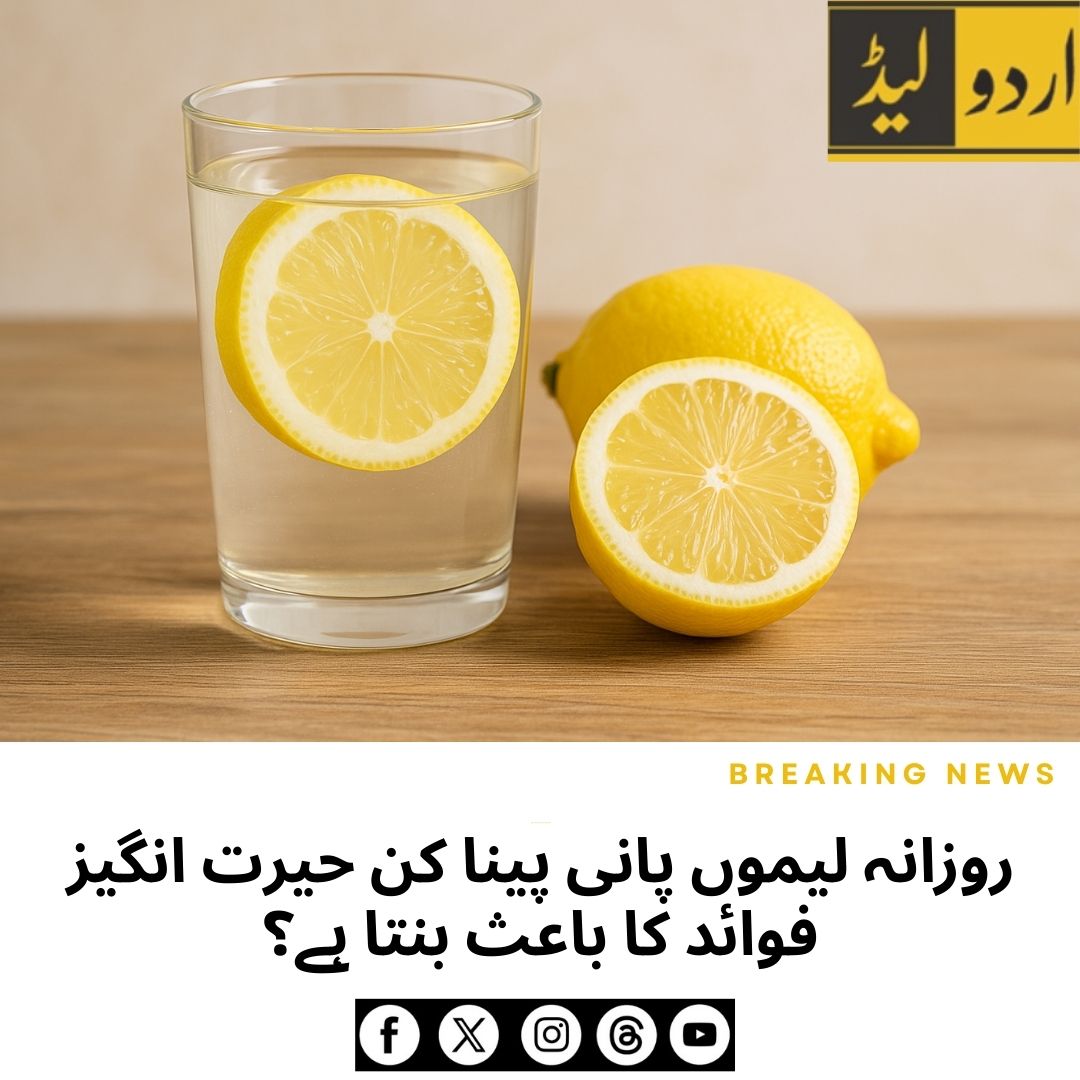 AftabMaken's tweet image. روزانہ لیموں پانی پئیں اور بے شمار صحت کے فوائد حاصل کریں۔ یہ صرف ایک مشروب نہیں، بلکہ صحت مند زندگی کا راز ہے۔
urdulead.com/?p=19766
#Lemons #LemonWater #HealthyLiving #HealthTips #VitaminC #BeNewz #UrduLead