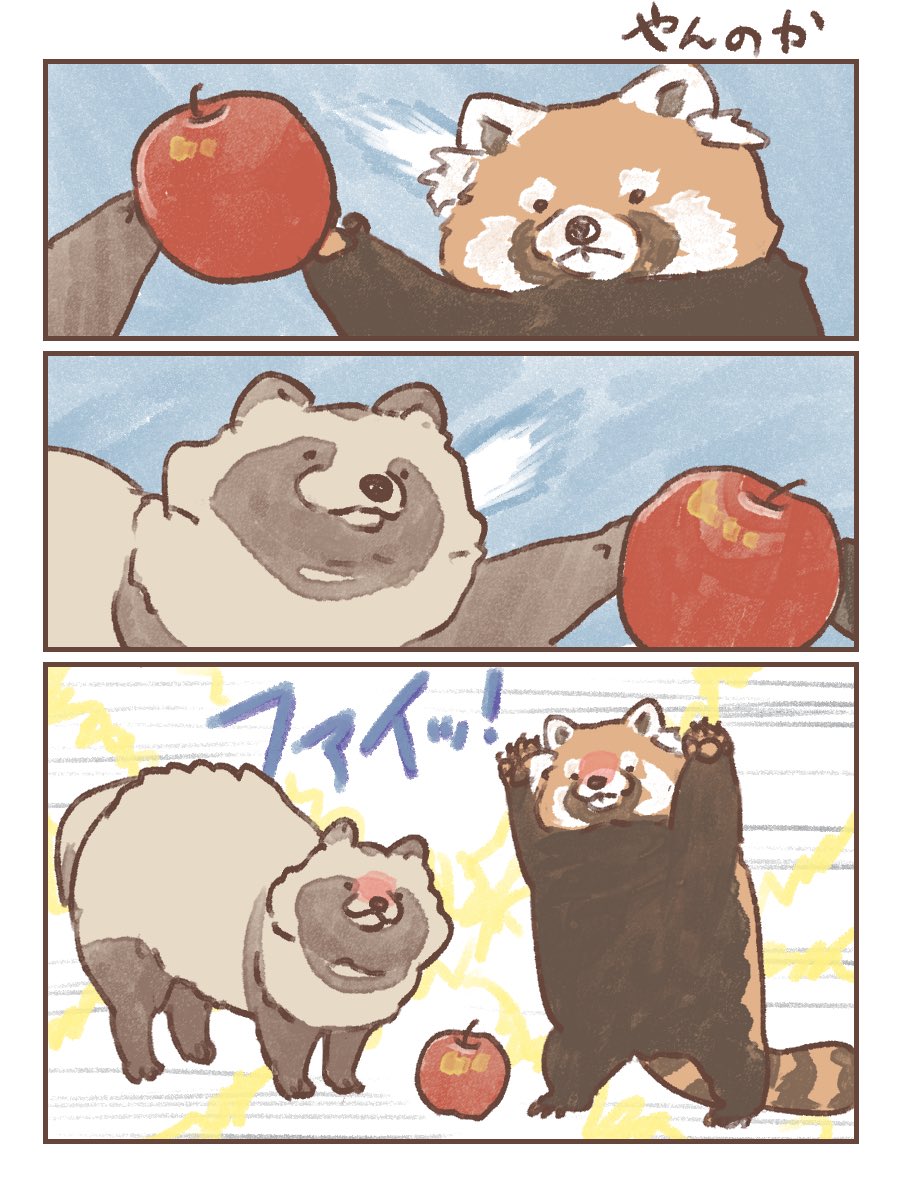 Py0wwK's tweet image. #国際レッサーパンダデー