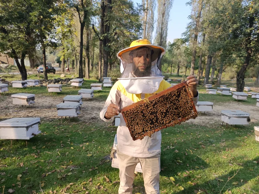 DarKoshal's tweet image. Ramhama village in #Beerwah, #Budgam is fast becoming #Kashmir’s “Honey Village.” 🌼🍯 Locals are embracing apiculture, creating jobs and sustainable livelihoods through honey production. 

#Kashmir #HoneyVillage #Apiculture #Budgam #jammukashmirnews #DevelopmentInJK