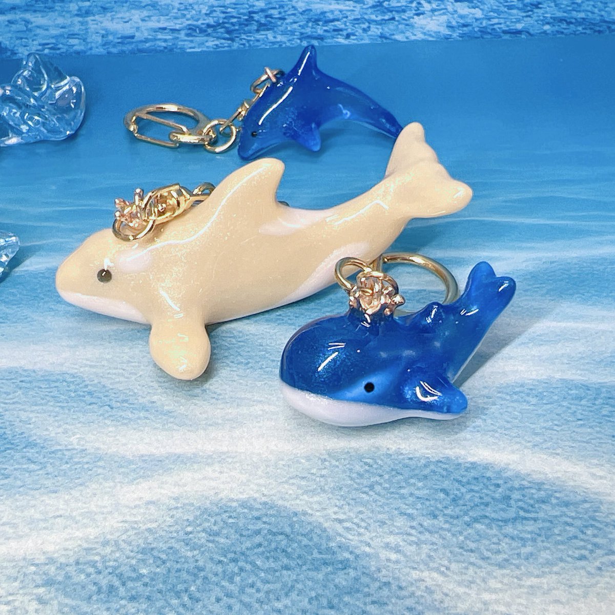 限定カラー - Search / X