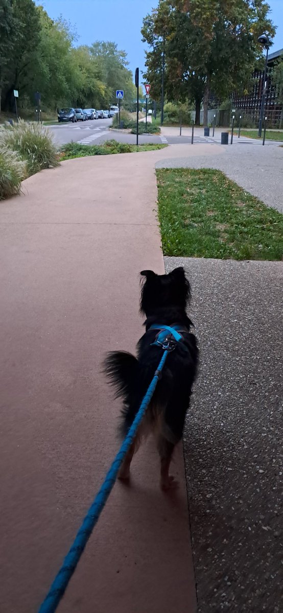Bonjour les ami(e)s 🌧️ J’espère que vous allez bien !
Ici à Val-de-Reuil, la pluie est au rendez-vous, et d’après les prévisions, des orages sont annoncés ⛈️ dans le département de l'Eure et de la Seine-Maritime.
Prenez soin de vous et passez une excellente journée ! 😊