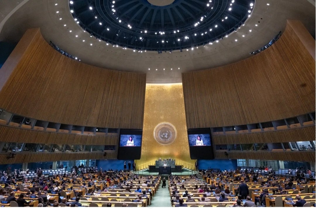 To Unimportant to the UN Security Council.

I write to you as a woman who spent 41 days of her life under the worst possible conditions, enduring severe physical and psychological torture in the Taliban’s Directorate 40 prison.
This prison, where I suffered the harshest tortures,