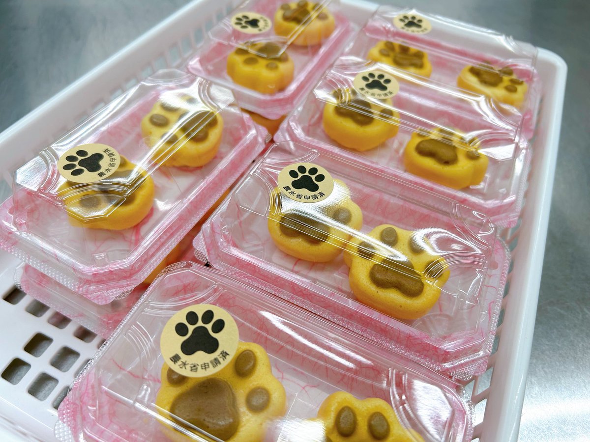 Ringring_0211's tweet photo. 9/20
本日はわんにゃん肉球シフォンケーキ🐾

手ごね丸パン
・チョコ
・栗
販売してます😊 https://t.co/R96oDyTCkm