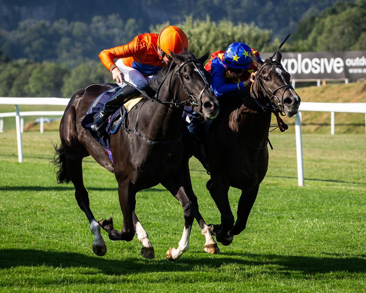 1⃣3⃣ We have 13 runners today.

At <a href="/ChesterRaces/">chesterraces</a> we have Flybar, Dubai Time &amp; Looks Likely (1:55), Hello It’s Me (2:30), Ran Amok (3:40), Balon D’Or (4:15), Cheshire Belle (4:45), He’s A Gentleman, Asteverdi &amp; Condotti (5:20).