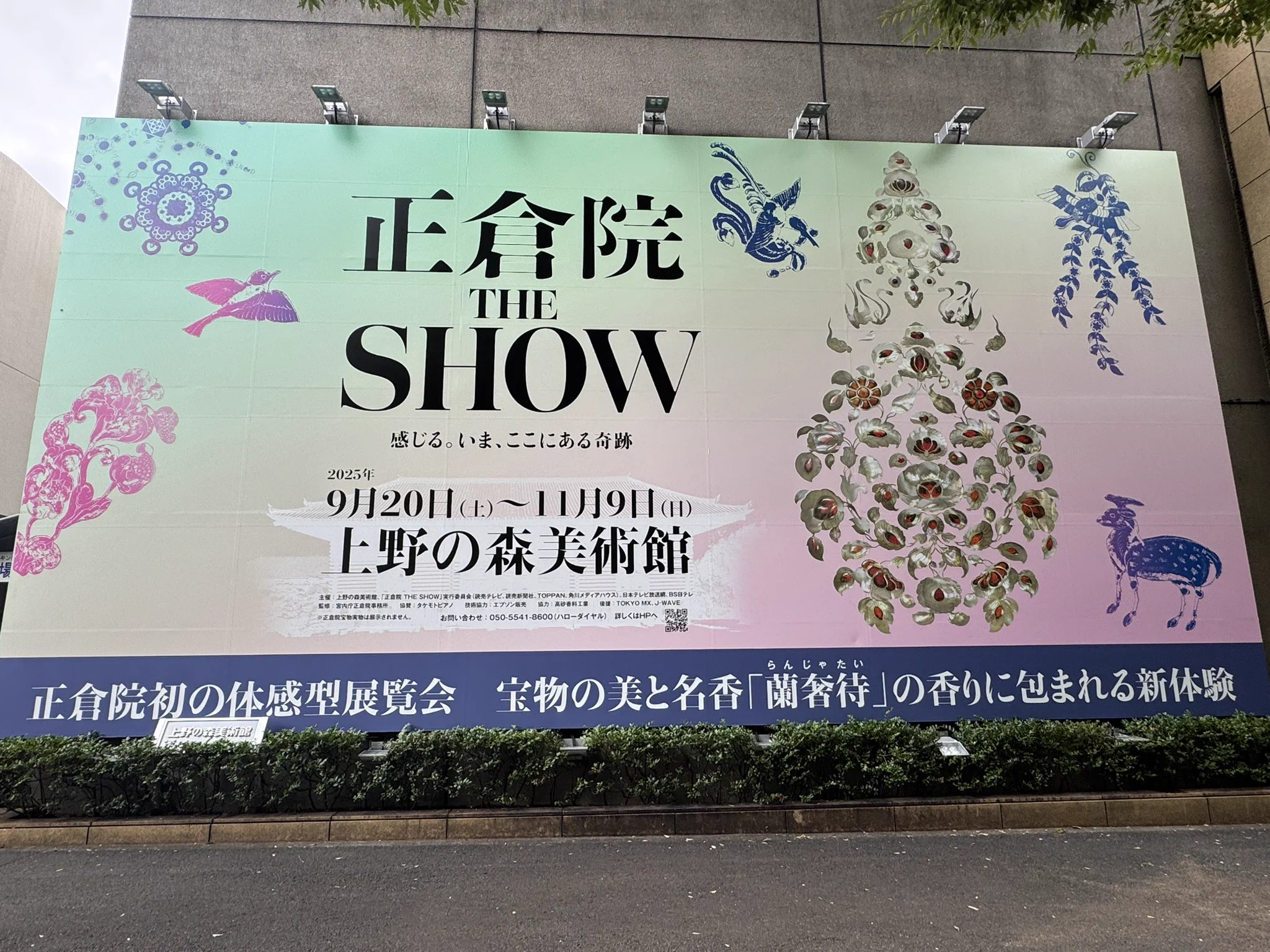 藤@スミレの香りを溺愛中 on X: 