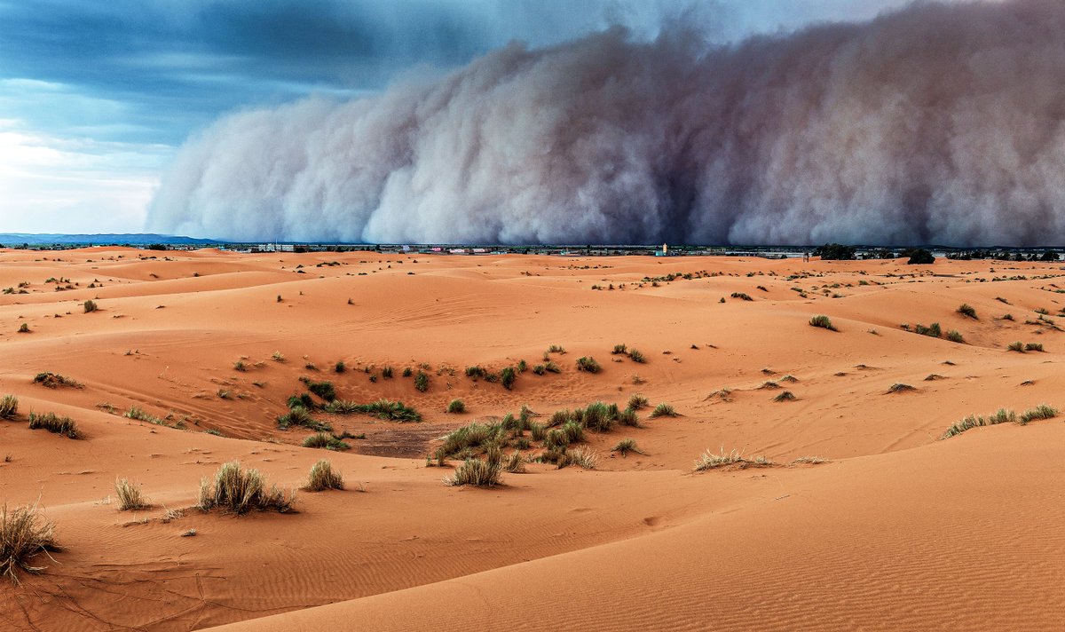 Each year, enough dust to build 1,000 copies of the Great Pyramid of Giza is lofted into the atmosphere. These grains of sand seed cloud formation, fertilize the seafloor, and impact heat retention. Mere specks of dust influence the nature of the entire planet.