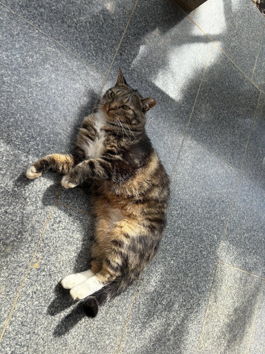 말법적 말법칼립스 (@neru_tl) on Twitter photo 