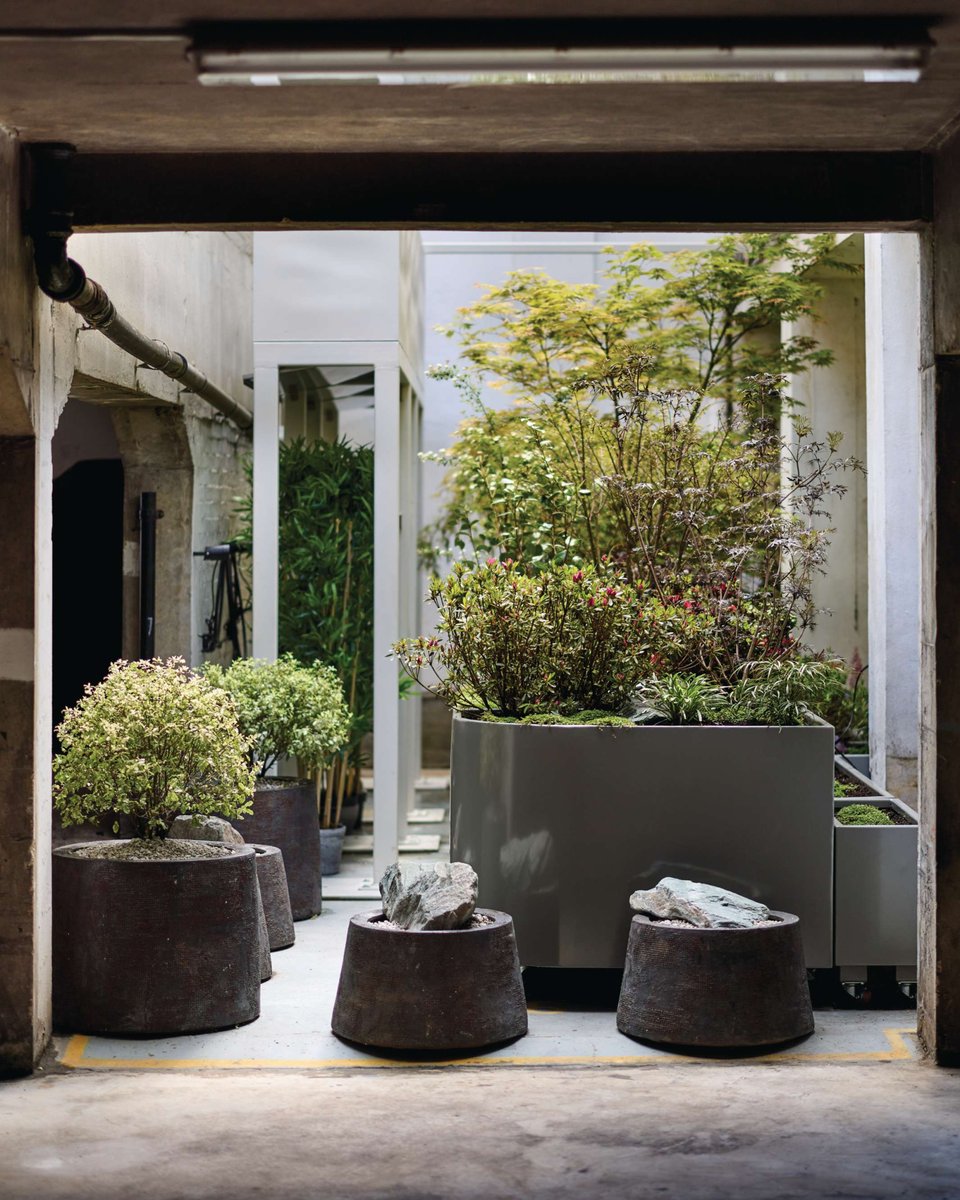 GdnsIllustrated's tweet photo. Tucked behind residential apartments and busy streets in the heart of London, this garden is a pocket-sized Eden, designed by Japanese garden designer Haruko Seki.
https://t.co/0dDiA6J5aV
📸 Alister Thorpe
#pots #potplants #containerplanting #plantingdisplays #potplantinspo https://t.co/1HL6zEaS7P