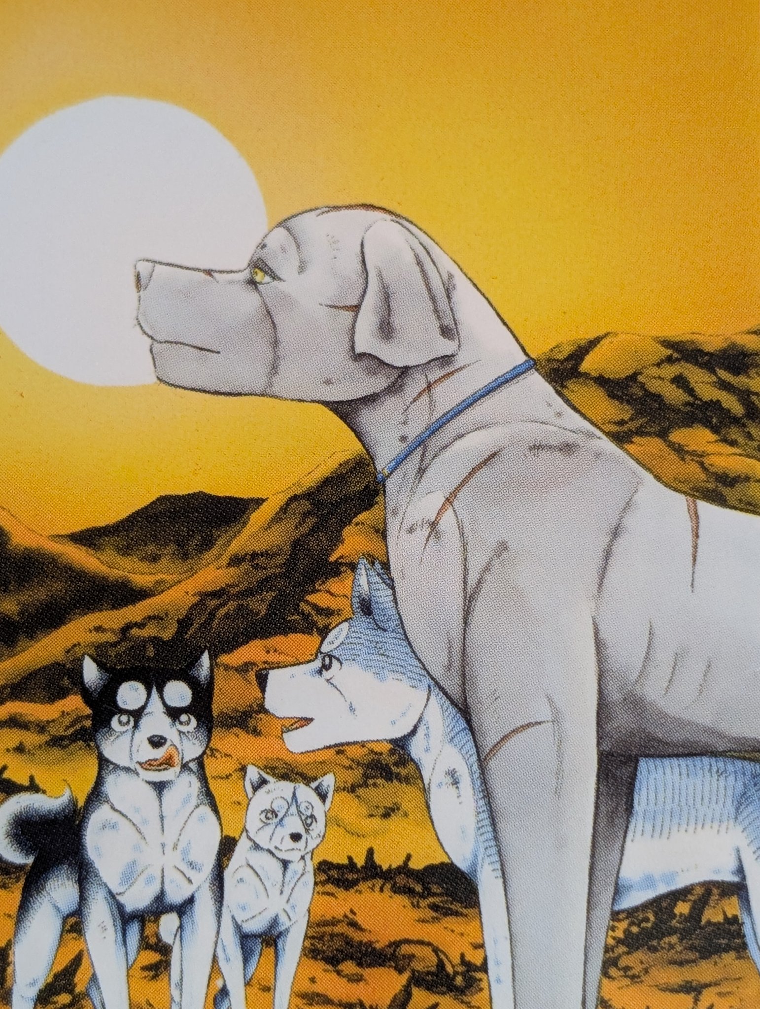 銀牙伝説 2022年 カレンダー Amazon.co.jp: 2022 銀牙伝説~奥羽の四季