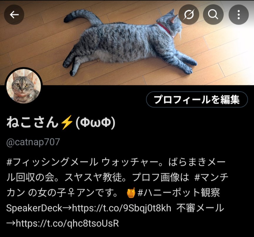 ねこさん⚡(ΦωΦ) (@catnap707) / X