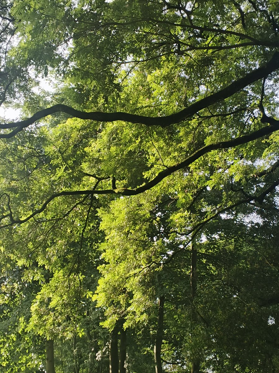 i2log's tweet image. 