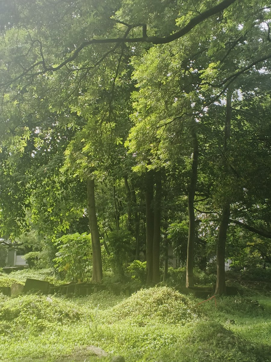 i2log's tweet image. 