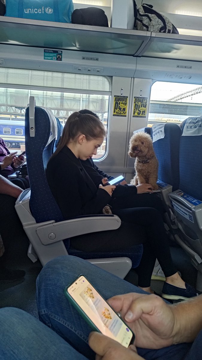 Mary_Ellll's tweet photo. зоопарк в Інтерсіті топ https://t.co/451sMbJXMz