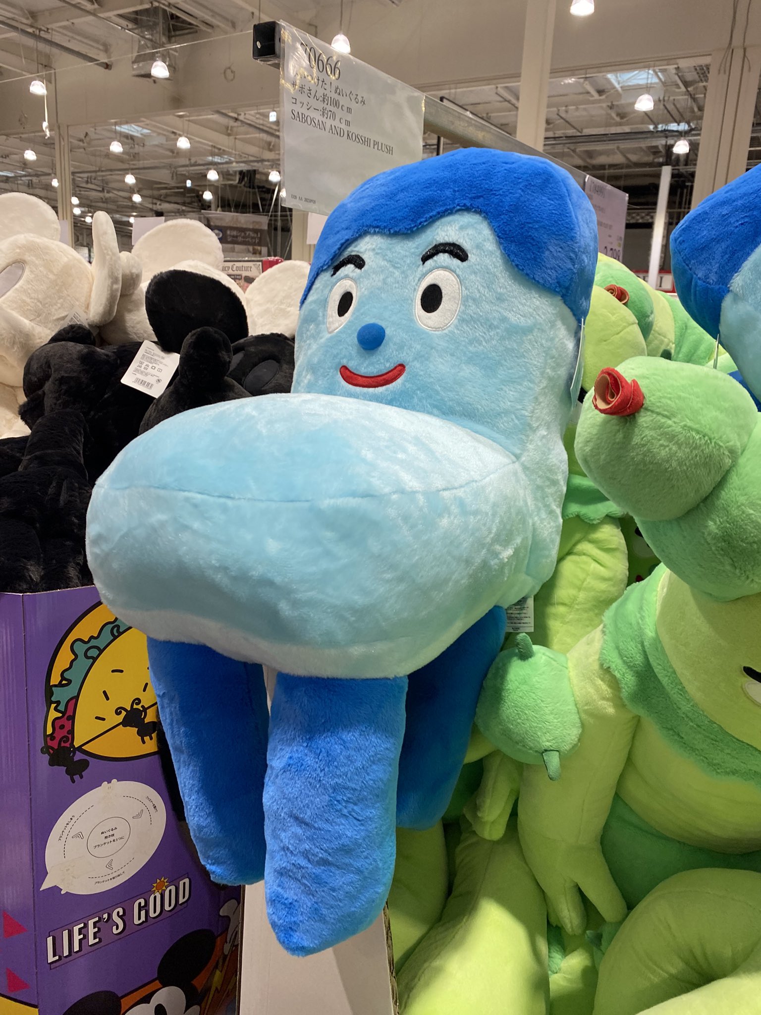 新品　サボさん　コッシー　みいつけた　約100cm ぬいぐるみ　コストコ 新品 サボさん コッシー みいつけた 約100cm ぬいぐるみ