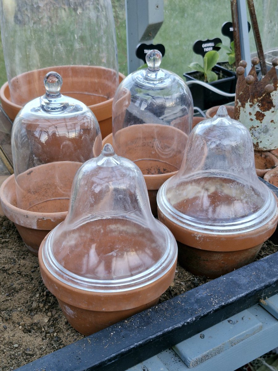 Still keeping a look out for more cloches too...