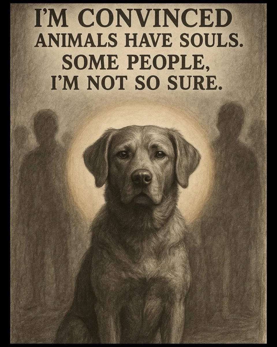 domdyer70's tweet photo. So true https://t.co/ZdRVkC3LVm