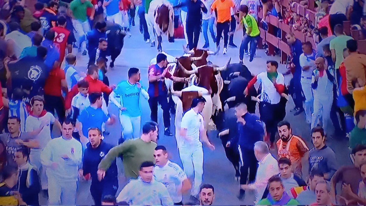 Enhorabuena por la realización del encierro de Guadalajara a <a href="/CMM_es/">Castilla-La Mancha Media</a>. Sin tirolinas y sin tantos medios, solo trabajo y esfuerzo. ¡GRACIAS!