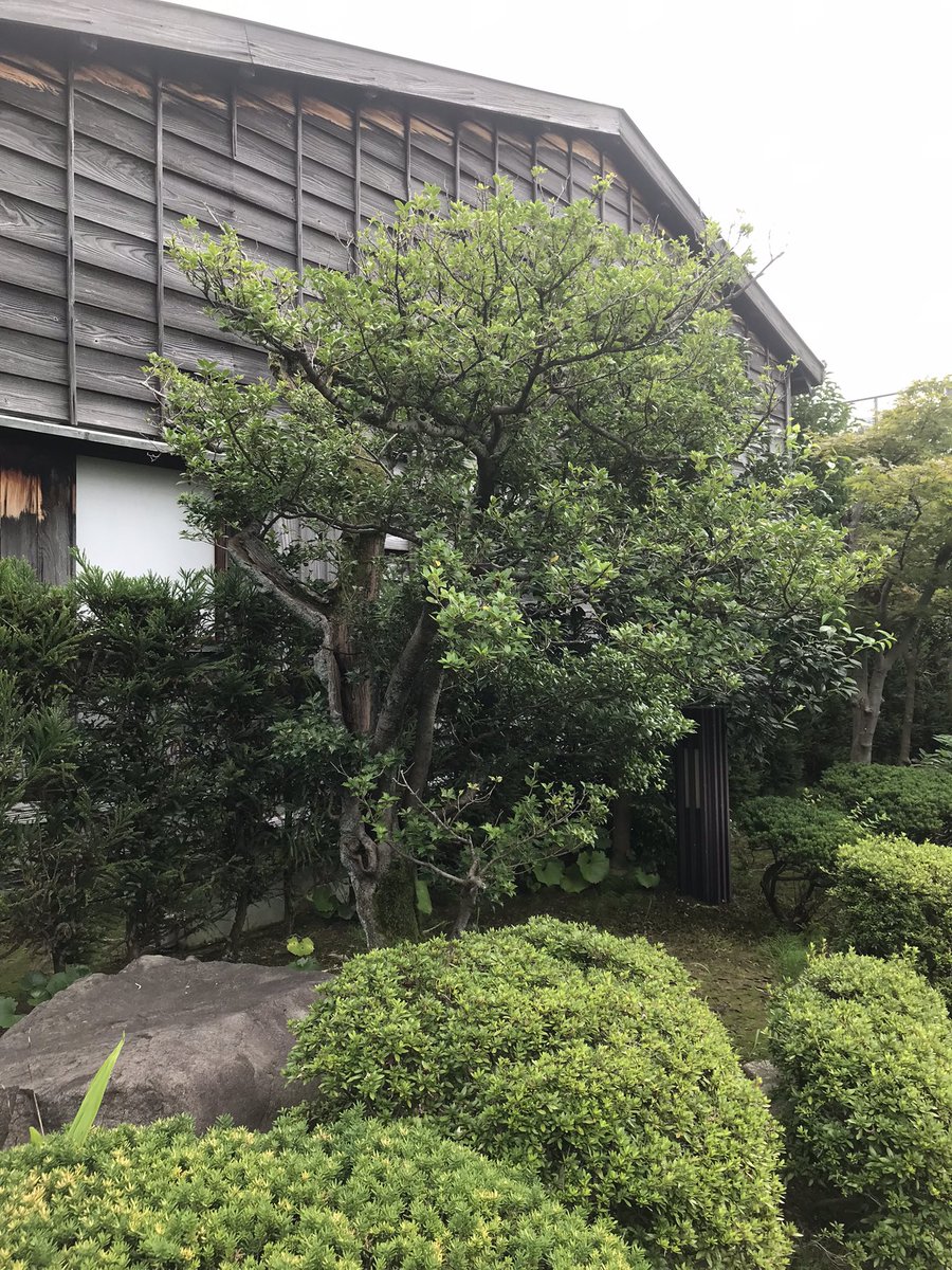 abox2005's tweet photo. 金沢市足軽資料館は、加賀藩の下級武士・足軽の生活を伝える無料施設！清水家・高西家の江戸時代屋敷2棟を移築再現。庭付き一戸建てが珍しく、藩主の家臣思いが感じられます。長町武家屋敷跡近くで、歴史ファン必見♪ #金沢観光 #金沢町家 https://t.co/mLf9ChyA41