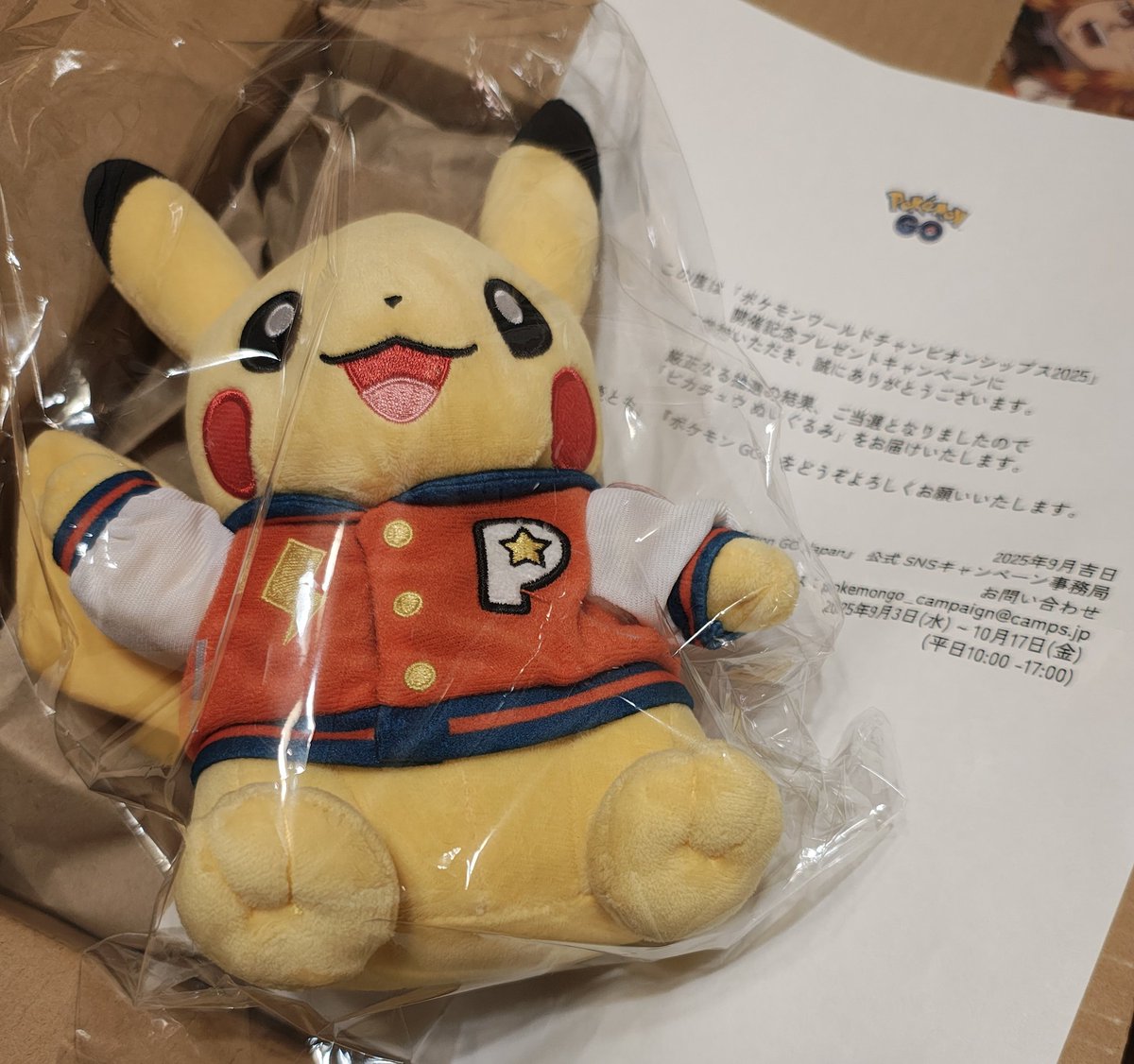 WCS2025 ピカチュウ ぬいぐるみ ピカチュウ ぬいぐるみ WCS 2025 ポケモン アナハイム WCS 2025